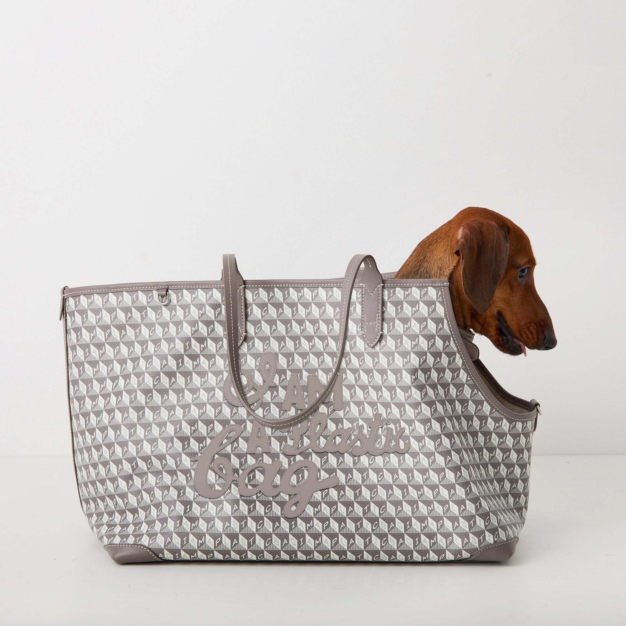 「I AM A Plastic Bag」モチーフ ドッグ トート -

          
            Recycled Canvas in Porcini -
          

          Anya Hindmarch JP
