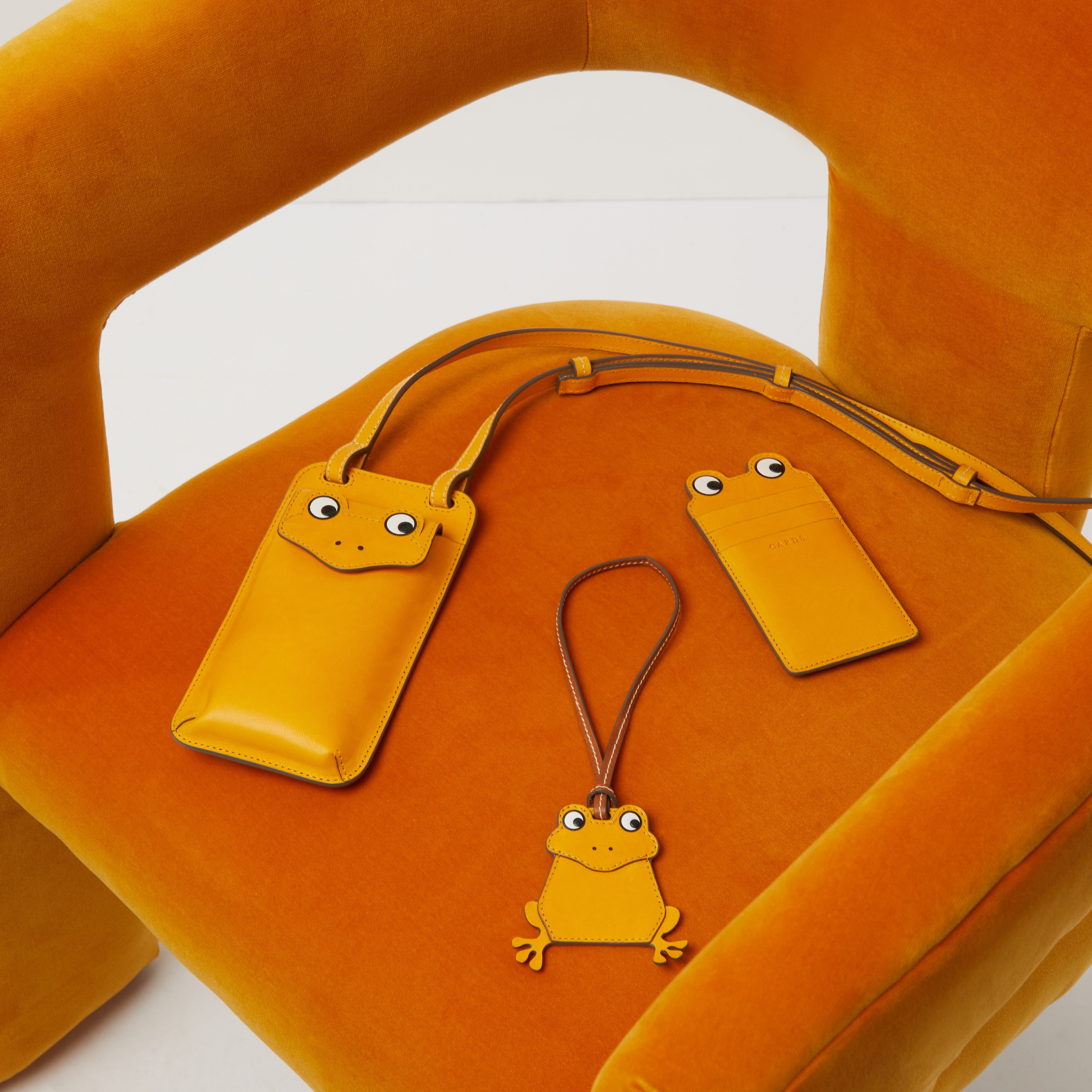 Return to Nature」 カエル カードケース | Anya Hindmarch JP